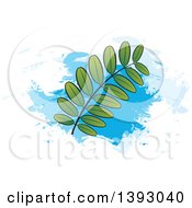 Clipart Of A Kathurumurunga Leaf Branch Over Blue Paint Strokes Royalty Free Vector Illustration