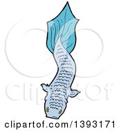 Poster, Art Print Of Blue Koi Carp Fish