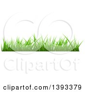 Clipart Of A Grass Border Royalty Free Vector Illustration