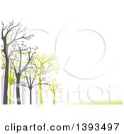 Poster, Art Print Of Background Of Gray And Green Leafing Trees And Lines With Text Space On White