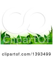 Clipart Of A Background Of Green Leaves On White Royalty Free Vector Illustration