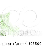 Poster, Art Print Of Background Of Gray And Green Skeleton Leaves On White