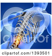 Poster, Art Print Of 3d Anatomical Man With Glowing Spine Or Back Pain And Visible Skeleton On Blue