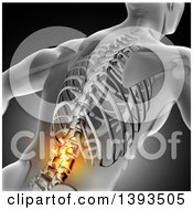 Poster, Art Print Of 3d Anatomical Man With Glowing Spine Or Back Pain And Visible Skeleton On Gray
