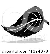 Poster, Art Print Of Black And White Leaf And Gray Shadow Design