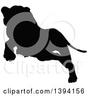 Black Silhouetted Lioness Leaping Or Pouncing