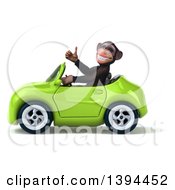 Clipart Of A 3d Chimpanzee Monkey Driving A Convertible Car On A White Background Royalty Free Illustration