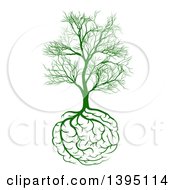 Poster, Art Print Of Green Tree With Brain Roots And Bare Branches Symbolizing Memory Loss