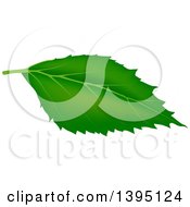 Poster, Art Print Of Green Tree Leaf