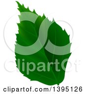 Clipart Of A Green Tree Leaf Royalty Free Vector Illustration by dero
