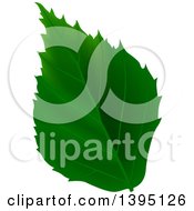 Poster, Art Print Of Green Tree Leaf