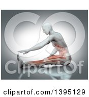 Poster, Art Print Of 3d Anatomical Man Stretching On The Floor Reaching For His Toes With Visible Torso And Leg Muscles On Gray