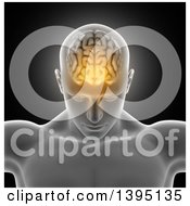 Clipart Of A 3d Xrayed Anatomical Man With Visible Glowing Brain Over Gray Royalty Free Illustration