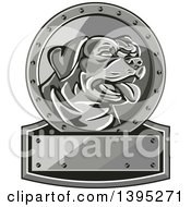 Clipart Of A Retro Panting Rottweiler Head In A Circle Over A Plaque Royalty Free Vector Illustration