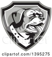 Clipart Of A Retro Panting Rottweiler Head In A Shield Royalty Free Vector Illustration