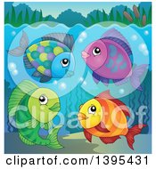 Clipart Of A Group Of Freshwater Fish Underwater Royalty Free Vector Illustration