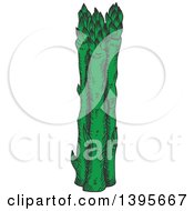 Poster, Art Print Of Sketched Asparagus