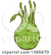 Clipart Of A Sketched Kohlrabi Royalty Free Vector Illustration