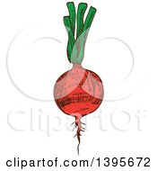 Clipart Of A Sketched Beet Royalty Free Vector Illustration