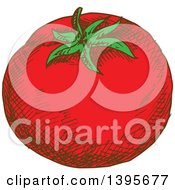 Clipart Of A Sketched Tomato Royalty Free Vector Illustration