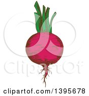 Clipart Of A Sketched Beet Royalty Free Vector Illustration by Vector Tradition SM