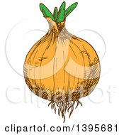 Poster, Art Print Of Sketched Yellow Onion