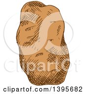 Clipart Of A Sketched Potato Royalty Free Vector Illustration by Vector Tradition SM