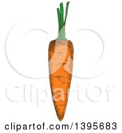 Clipart Of A Sketched Carrot Royalty Free Vector Illustration