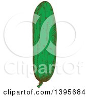 Poster, Art Print Of Sketched Cucumber