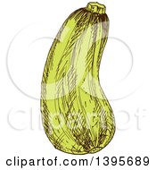 Clipart Of A Sketched Zucchini Royalty Free Vector Illustration by Vector Tradition SM