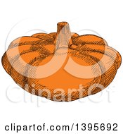 Clipart Of A Sketched Pumpkin Royalty Free Vector Illustration
