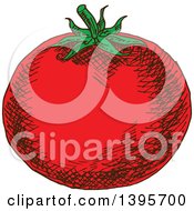 Clipart Of A Sketched Tomato Royalty Free Vector Illustration