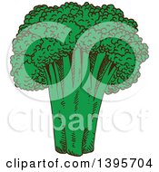 Poster, Art Print Of Sketched Head Of Broccoli