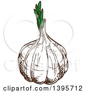 Clipart Of A Sketched Garlic Bulb Royalty Free Vector Illustration