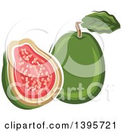 Sketched Apple Guava