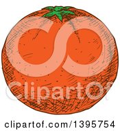 Clipart Of A Sketched Navel Orange Royalty Free Vector Illustration by Vector Tradition SM