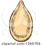 Clipart Of A Sketched Pumpkin Seed Royalty Free Vector Illustration