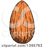 Clipart Of A Sketched Almond Royalty Free Vector Illustration by Vector Tradition SM