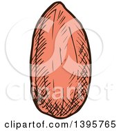 Clipart Of A Sketched Peanut Royalty Free Vector Illustration by Vector Tradition SM