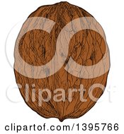 Clipart Of A Sketched Walnut Royalty Free Vector Illustration