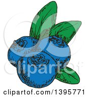 Clipart Of Sketched Blueberries Royalty Free Vector Illustration by Vector Tradition SM