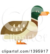 Poster, Art Print Of Flat Design Mallard Duck