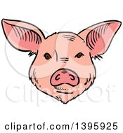 Poster, Art Print Of Sketched Pig Face