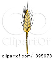 Poster, Art Print Of Sketched Wheat Stalk