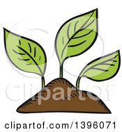 Poster, Art Print Of Sketched Seedling Plants