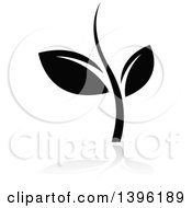 Poster, Art Print Of Black Leafy Seedling Plant With A Gray Reflection