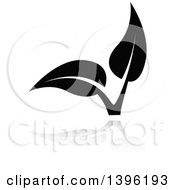 Clipart Of A Black Leafy Seedling Plant With A Gray Reflection Royalty Free Vector Illustration by dero