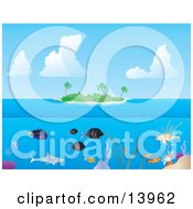 Fish And Sharks Swimming Underwater At A Tropical Reef Near An Island Clipart Illustration