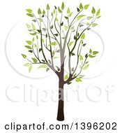 Poster, Art Print Of Tree With Green Leaves