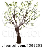 Poster, Art Print Of Tree With Green Leaves